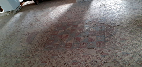 Parallelograms in the mosaic of the Shalom al Israel Synagogue in Jericho
