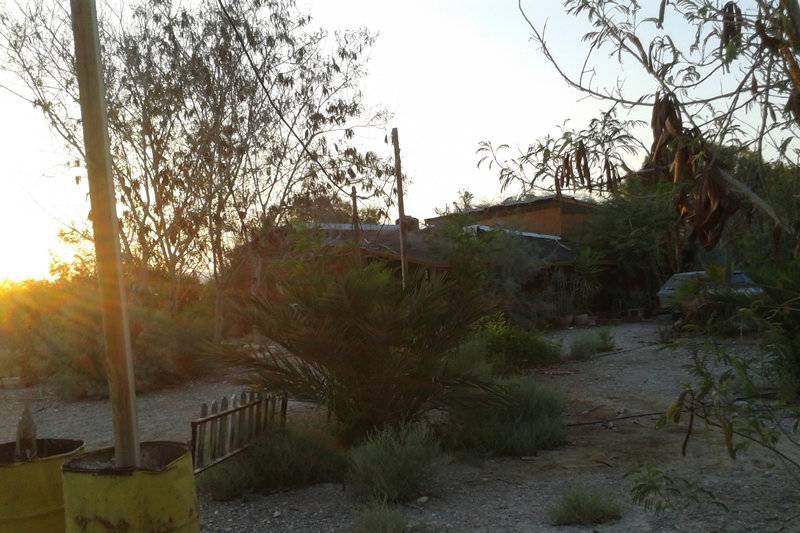 בית חגלה על פני יריחו