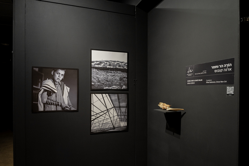 תערוכת צילום של ארנה קובוס