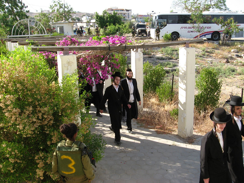 חוגגים את יום כיבוש יריחו בבית הכנסת שלום על ישראל